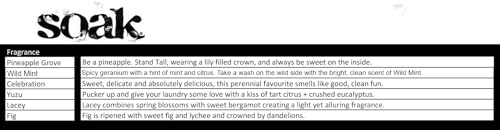 Soak Laundry Soap – No Rinse, Plant Derived Hand Wash Detergent - 90 ml / 3 fl. oz, (Lacey) - Image 4