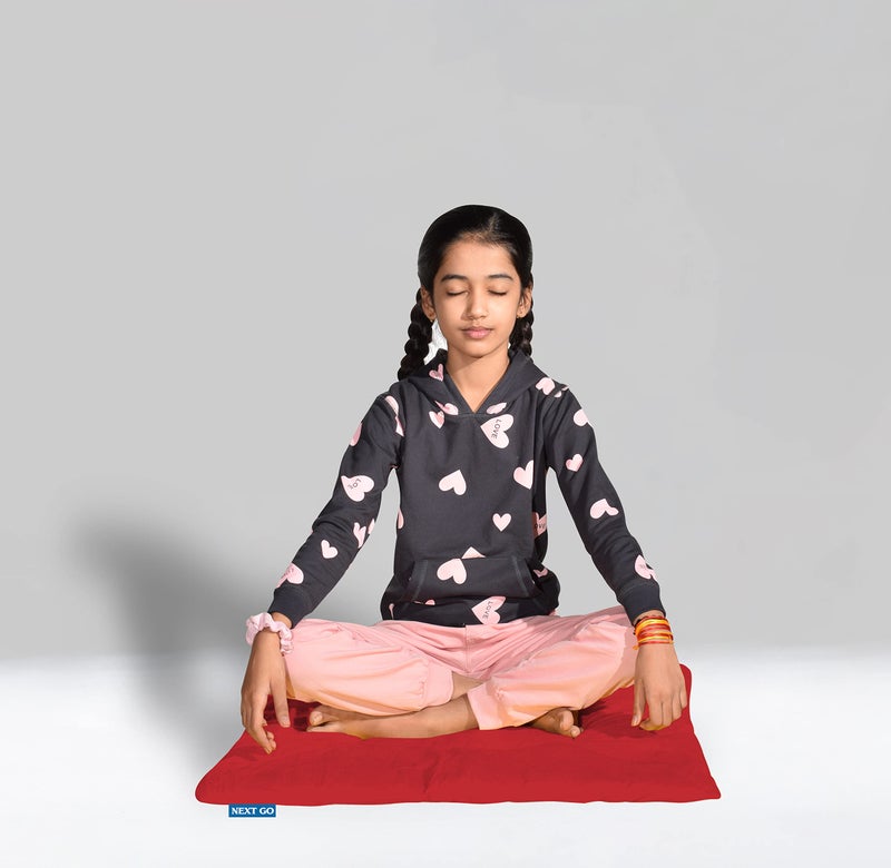 NEXTGO Floor Mat Puja Aasan 2Feet x 2Feet | Velvet Makhmal Fabric Microfiber Filling Floor Aasan for Dinner, Puja, Meditation, Garden, Yoga Mat for Home Office Ghar | Pack of 5 Ruby Rate - Image 5