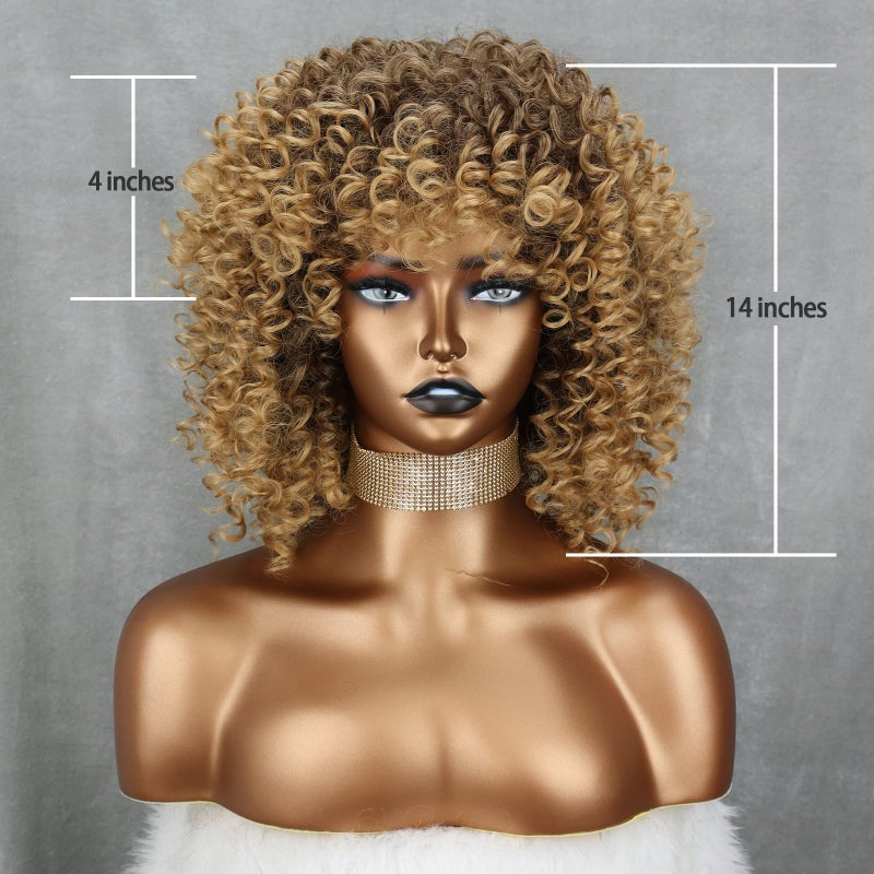 Xinran 14 inch Blonde Curly Wigs 70s, Kinky Brown Mixd Blonde Afro Wigs for Black Women, Synthetic Afro Curly Blonde Wigs for Women (Brown to Blonde) - Image 2