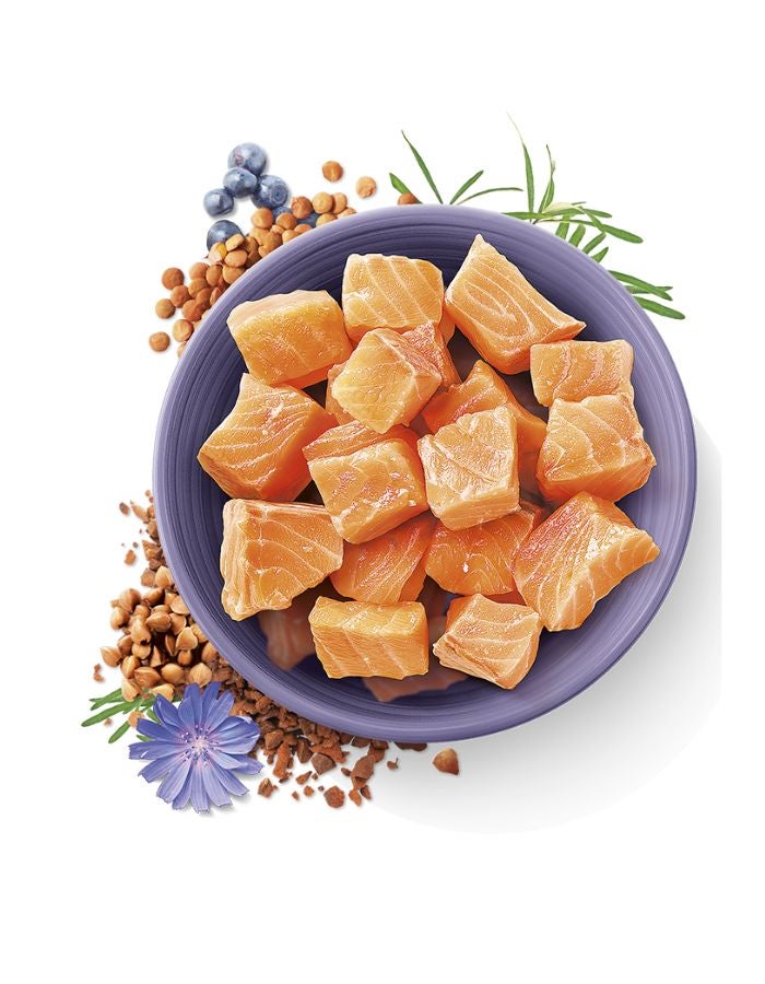 Carnilove True Fresh Fish for Adult Cats 4.8kg | Grain-Free, Fresh Fish Cat Food - Image 2