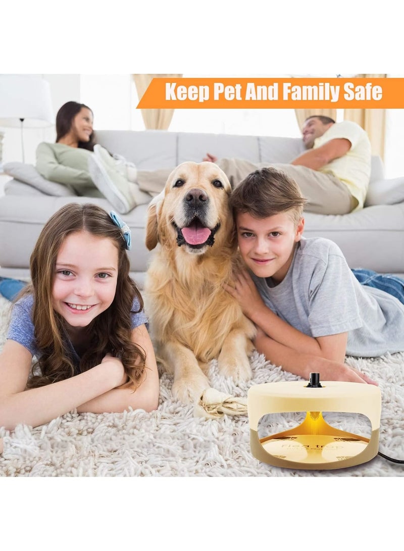 SOLARAE مصيدة البراغيث، مصيدة لاصقة داخلية للبراغيث مع 2 قرص لاصق عديم الرائحة غير سام قاتل طبيعي للبراغيث وسادة مصيدة حشرات ضوء التحكم في الآفات للمنزل، آمنة للأطفال والحيوانات الأليفة الكلاب والقطط - Image 5