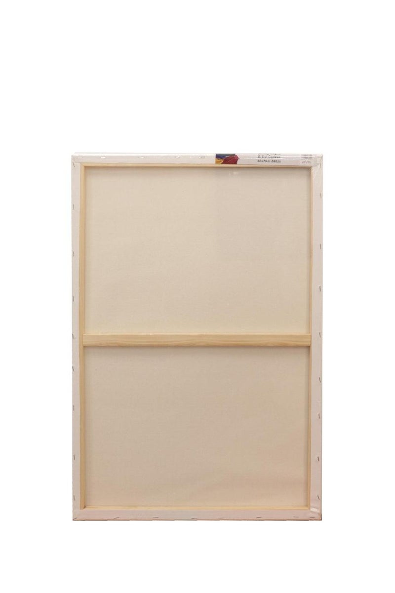 ROCO Stretched Canvas Rectangle Rough Finish50 X 75 cm - Image 2