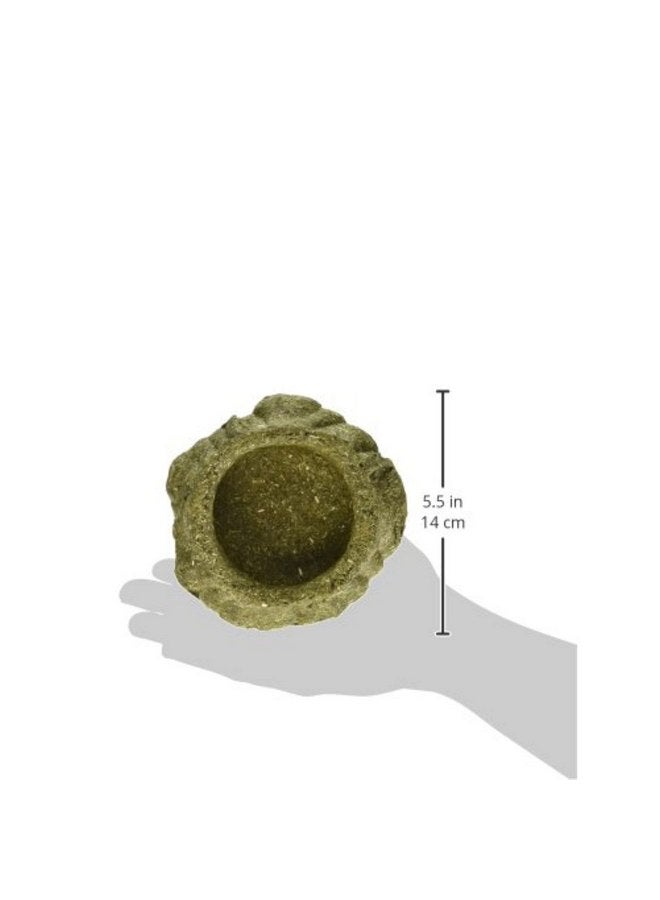 كايتي وعاء طعام ممتاز من عشبة تيموثي من شركة كايتي للأرانب وخنازير غينيا وشينشيلا - Image 5