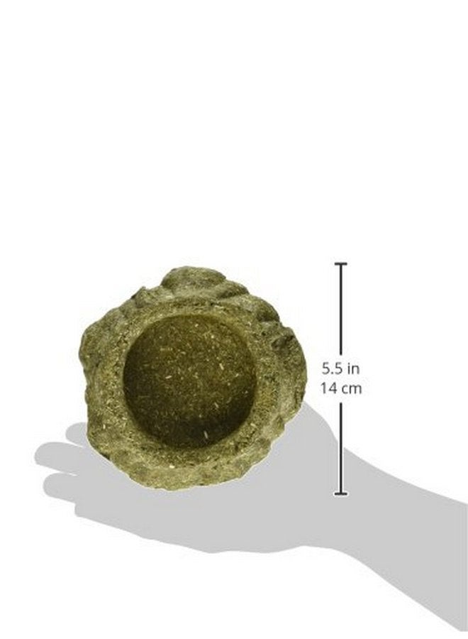 كايتي وعاء طعام ممتاز من عشبة تيموثي من شركة كايتي للأرانب وخنازير غينيا وشينشيلا - Image 3