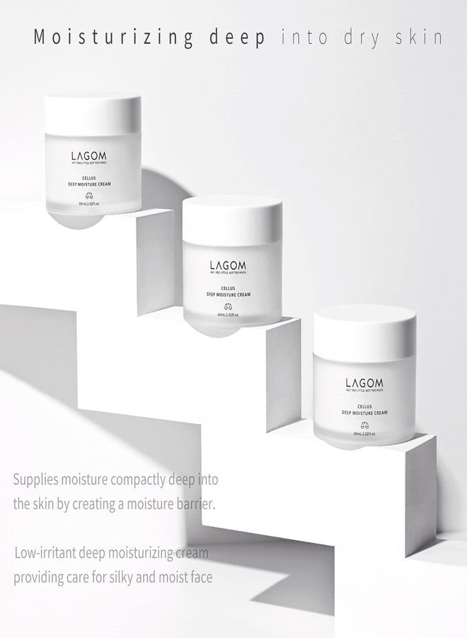 LAGOM Cellus Deep Moisture Cream Natural Moisturizer with Ceramide and D-Panthenol (B5) Smooth, Hydrating, Nourishing Protecting Cream 2.02 Fl Oz - Image 2