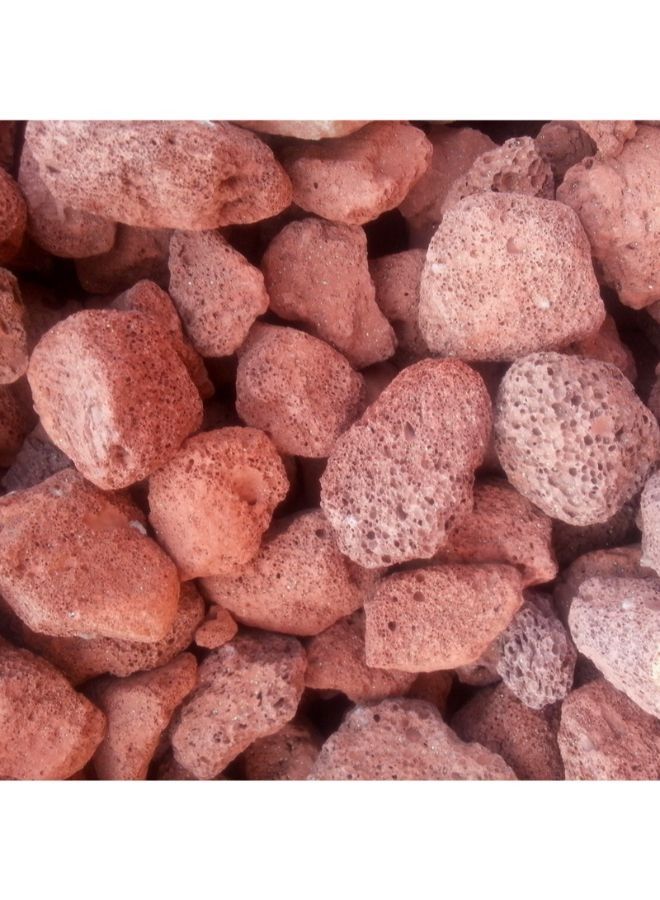 B&K Aquarium River Rock ركيزة مزروعة بأحجار الحمم الحمراء 500 جم - Image 4