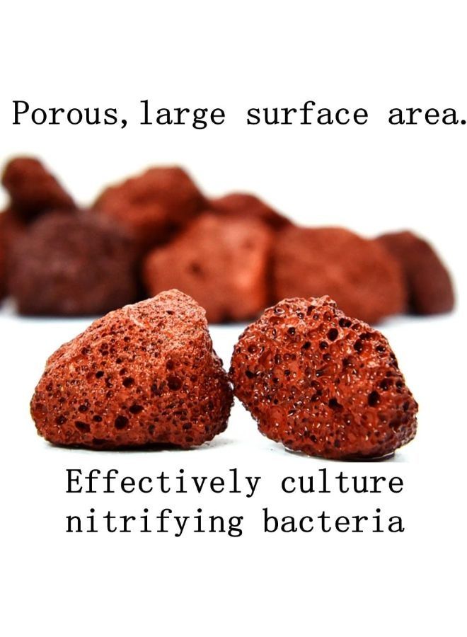 B&K Aquarium River Rock ركيزة مزروعة بأحجار الحمم الحمراء 500 جم - Image 5