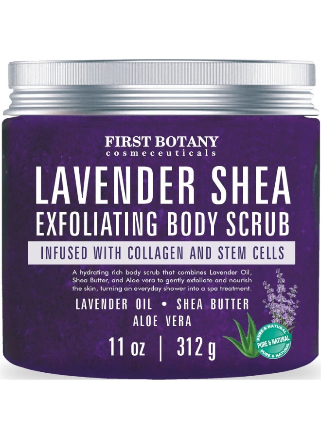 First Botany First Botany Body Scrub - Natural Exfoliating Salt Scrub & Body and Face Souffle helps with Moisturizing Skin, Acne, Cellulite, Dead Skin Scars, Wrinkles (10 fl oz, Lavender) - Image 1