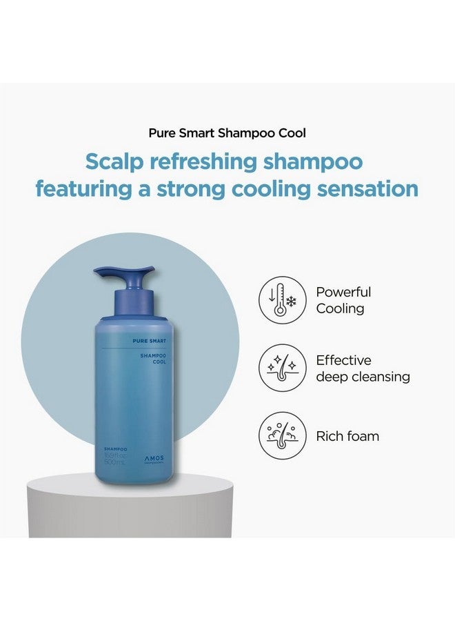 أموس بروفيشنال شامبو آموس بروفيشنال بيور سمارت كول للتحكم في الزيوت والقشرة، برائحة المنثول المنعشة، تنظيف عميق، ينعش فروة الرأس، 16.9 أونصة سائلة - Image 2