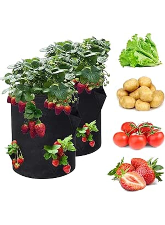 AMPLUCK Strawberry Plant Bag, Pack of 2 Garden Plant Bags Outdoor Fleece Textile Plant Bags for Strawberries Plants Potato Tomato Flower with Sturdy Handles and Viewing Window - Image 1