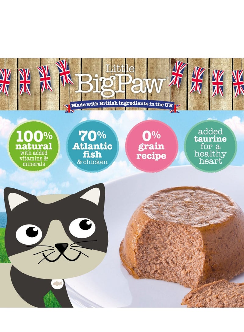 Little Big Paw Little Big Paw Gourmet Salmon Mousse Cat And Kitten Wet Food 85G - Image 2