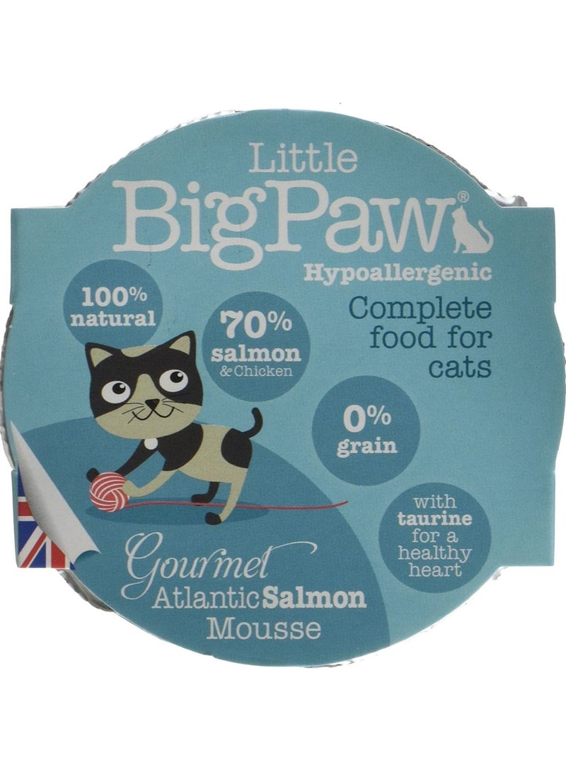 Little Big Paw Little Big Paw Gourmet Salmon Mousse Cat And Kitten Wet Food 85G - Image 1