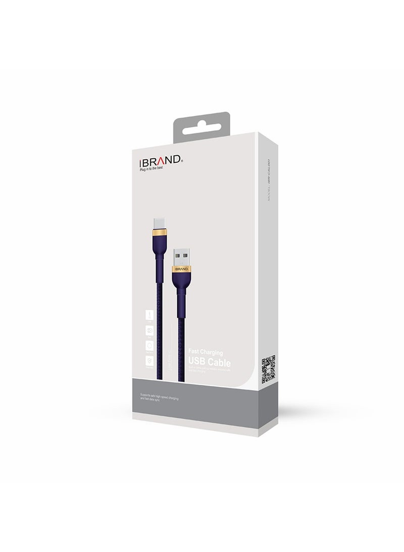 Fast Charging USB Type-C Cable 100cm (Black)