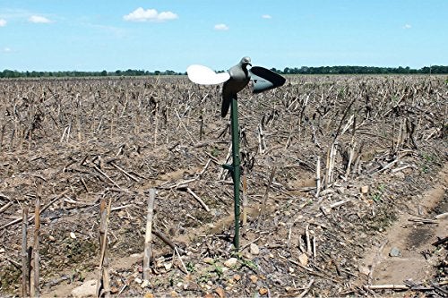 MOJO Outdoors MOJO Wind Dove Spinning Wing Dove Decoy for Dove Hunting - Image 5