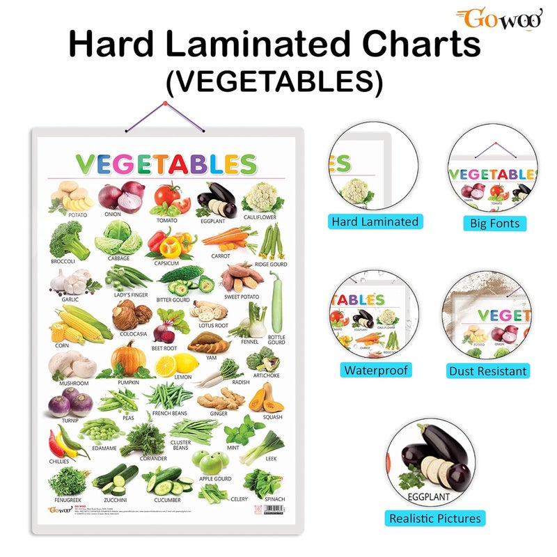 GoWoo Set of 3 Alphabet, Fruits and Vegetables Early Learning Educational Charts for Kids | 20"X30" inch |Non-Tearable and Waterproof | Double Sided Laminated | Perfect for Homeschooling, Kindergarten and Nursery Students - Image 2