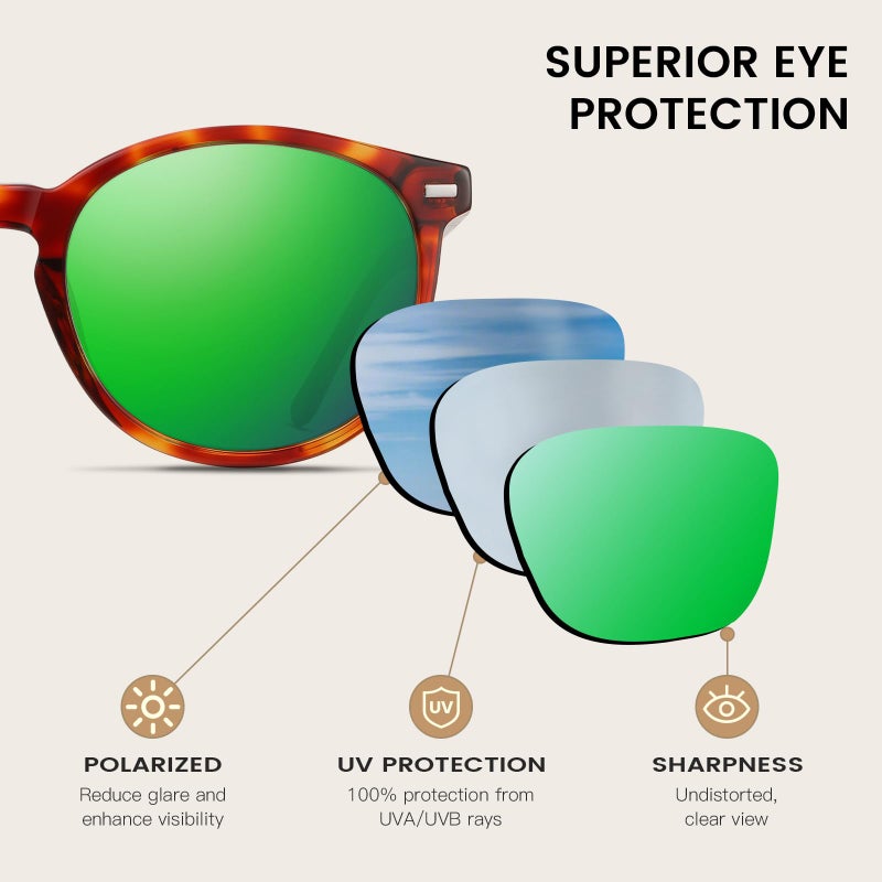 DUCO Retro Round UV400 Polarized Sunglasses for Women Men Vintage Shades Classic Acetate Trendy Fashion Sunglass DC1230 (Brown Tortoise Frame Revo Green Lens) - Image 3