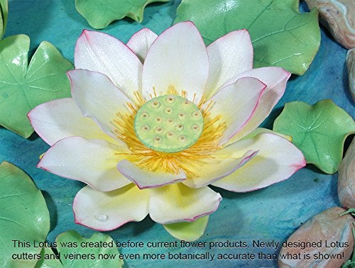 W OF S A SCOTT CLARK Lotus and Water Lily Pad Cutter Set by WSA  - Image 3