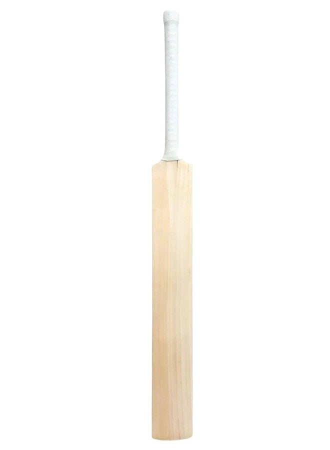 REGOLITH ENTERPRISES English Willow Cricket Bat | Professional Grade for Adults 15+ Years | Weight: 1000-1150g | Full Size with Toe Guard - Image 1