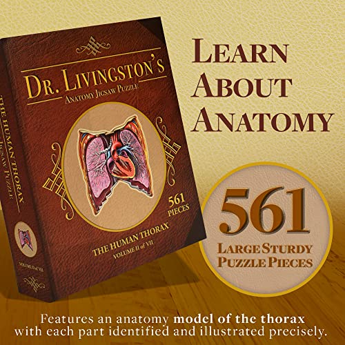 Genius Games Human Thorax Anatomy Puzzle Adult Jigsaw Puzzles Unique Gifts for Kids Nurses Doctors Medical Students Educational Science 411 Piece Teen Floor Puzzle Genius Games Dr Livingston Body Model - Image 5