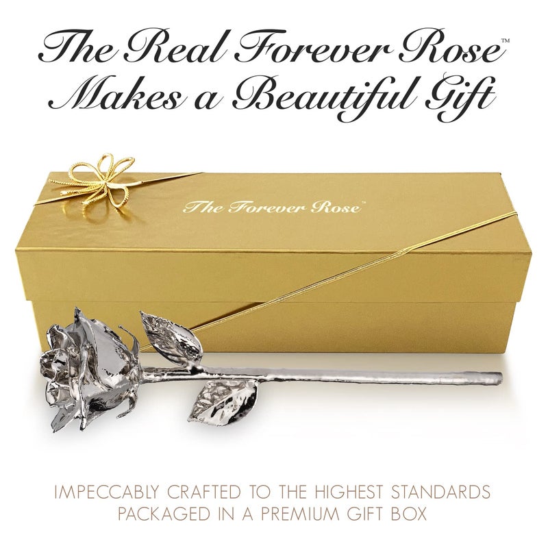 Forever Rose  a Genuine  One of a Kind  Real Platinum Rose with Clear Glass Bud Vase  Hand Dipped in Lacquer and Trimmed in Platinum Rose - Image 4
