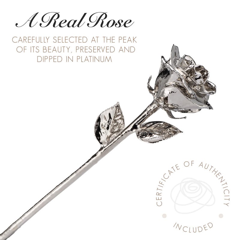 Forever Rose  a Genuine  One of a Kind  Real Platinum Rose with Clear Glass Bud Vase  Hand Dipped in Lacquer and Trimmed in Platinum Rose - Image 3