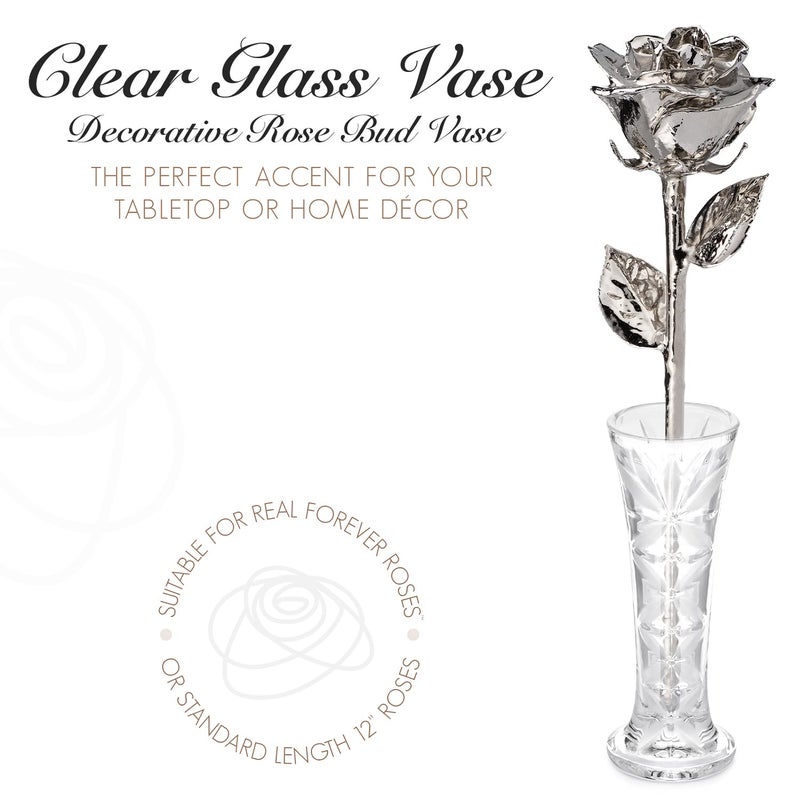 Forever Rose  a Genuine  One of a Kind  Real Platinum Rose with Clear Glass Bud Vase  Hand Dipped in Lacquer and Trimmed in Platinum Rose - Image 2