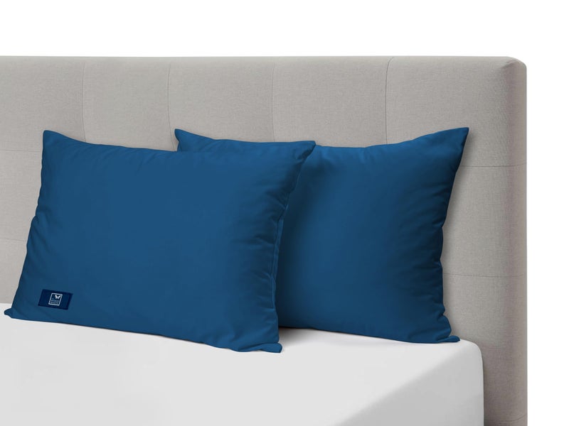 THE WOOD WHITE THE WOOD WHITE Microfiber Blue Soft Pillows Set of 2. 16 x 24 Inches  - Image 1