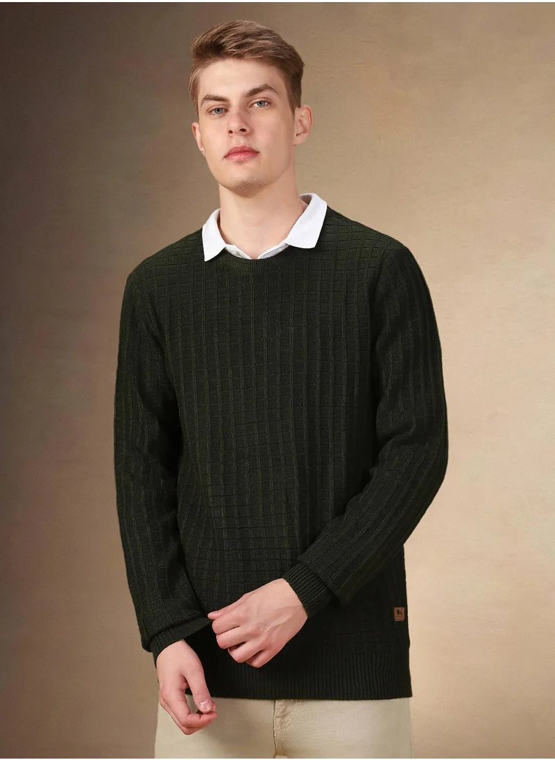 Dennis Lingo Men's Dark Green 100% Acrylic Solid Regular Fit Sweater
