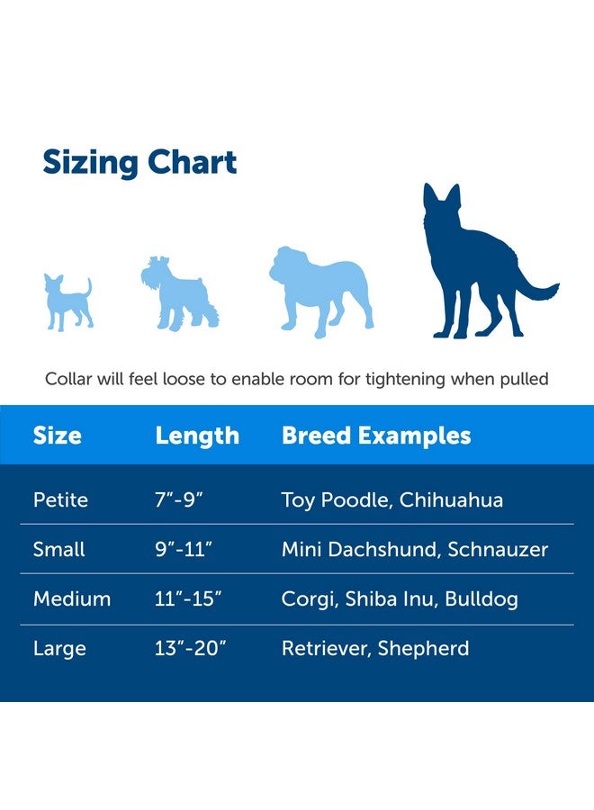 بيت سيف طوق مارتينجال للكلاب من بيت سيف مع مشبك سريع الإغلاق - كبير، 2.54 سم، أزرق ملكي - Image 4