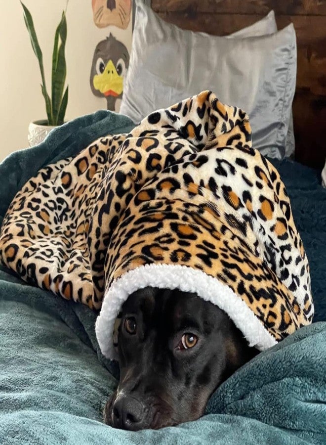 Kritter Planet Leopard Print Dog Blankets for Large Dogs, Soft Fluffy Fleece Pet Blankets for Couch, Sofa, Dog Beds, Car Seats, Creat, Washable, 50x60 inches - Image 2