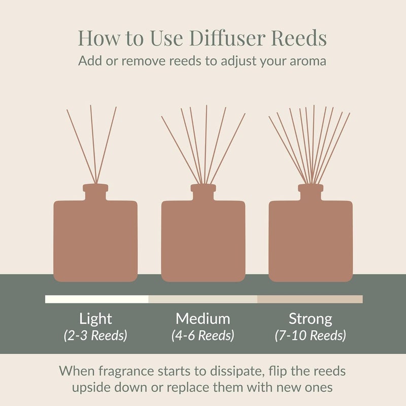 Archipelago Botanicals Stonehenge Diffuser - 8.2 Fl Oz with Smoked Cedarwood, Bergamot, and Amber - Image 4