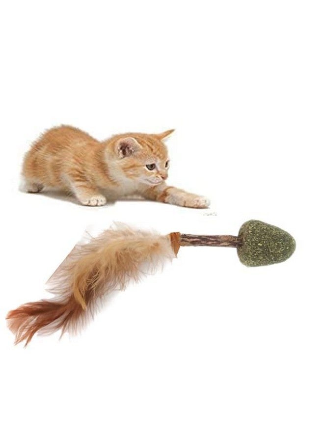 Cat Mint Ball Natural Catnip Teeth Cleaning Playing Chew Claw Catnip Ball Toy For Kitten & Cat (Catnip Ball Wither Feather) - Image 1