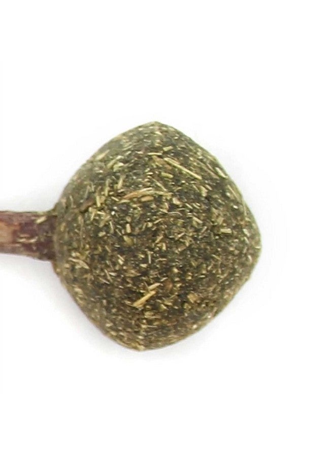 Cat Mint Ball Natural Catnip Teeth Cleaning Playing Chew Claw Catnip Ball Toy For Kitten & Cat (Catnip Ball Wither Feather) - Image 2