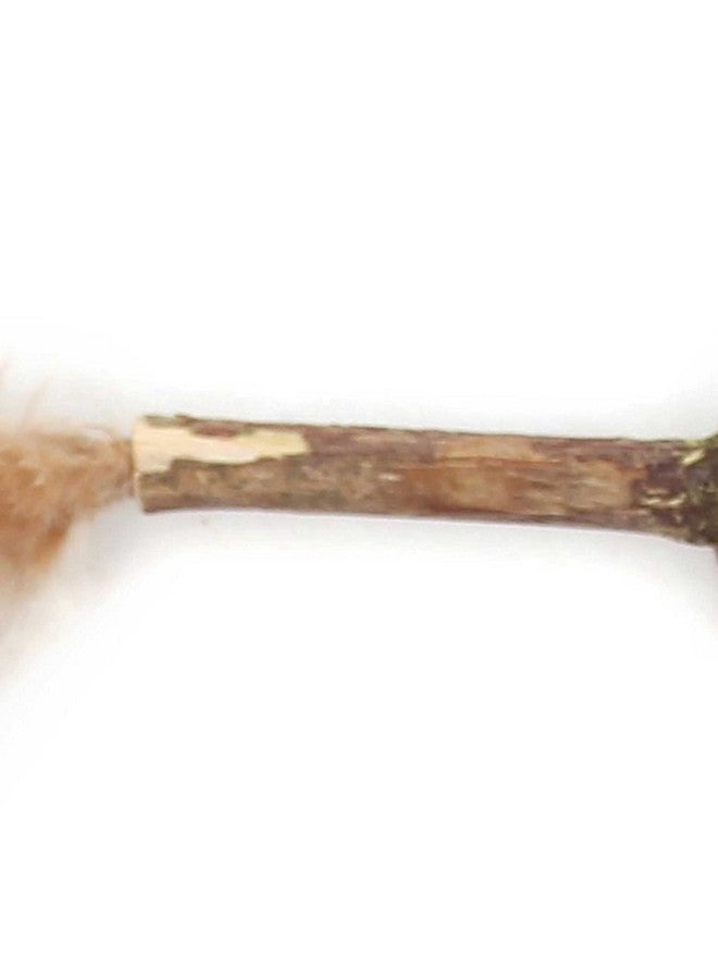 Cat Mint Ball Natural Catnip Teeth Cleaning Playing Chew Claw Catnip Ball Toy For Kitten & Cat (Catnip Ball Wither Feather) - Image 3