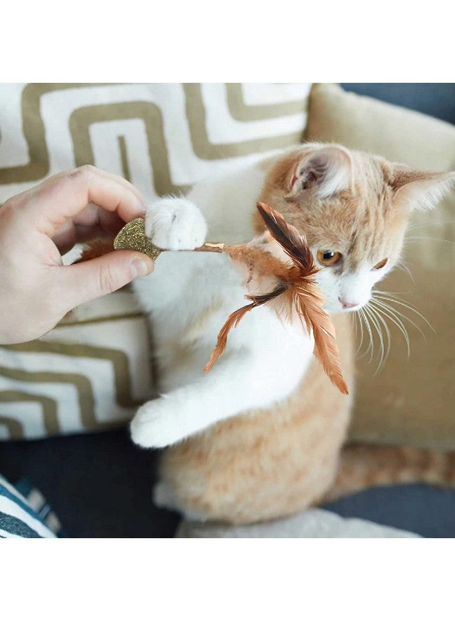 Cat Mint Ball Natural Catnip Teeth Cleaning Playing Chew Claw Catnip Ball Toy For Kitten & Cat (Catnip Ball Wither Feather) - Image 4