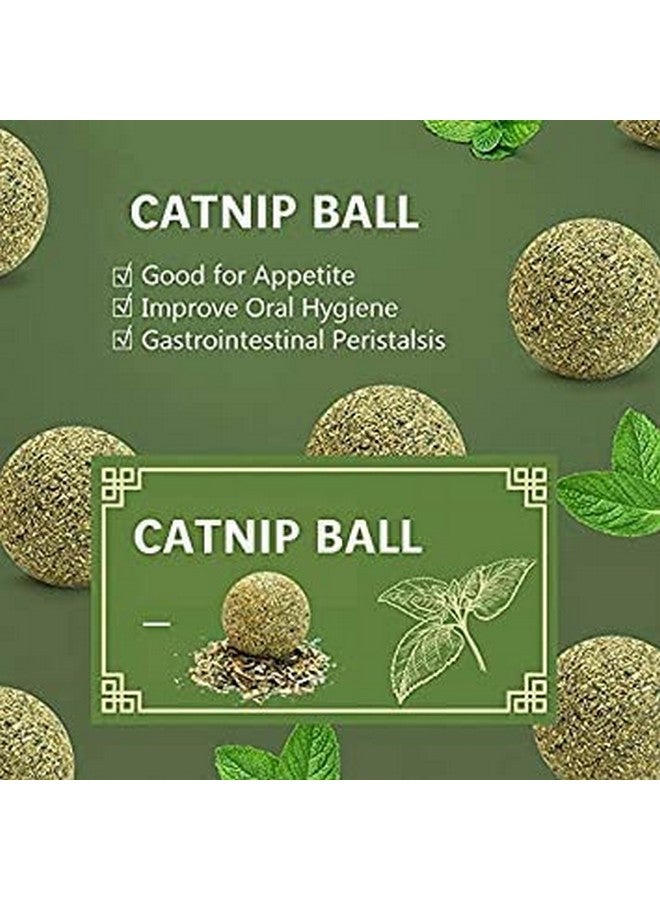 Cat Mint Ball Natural Catnip Teeth Cleaning Playing Chew Claw Catnip Ball Toy For Kitten & Cat (Catnip Ball Wither Feather) - Image 5