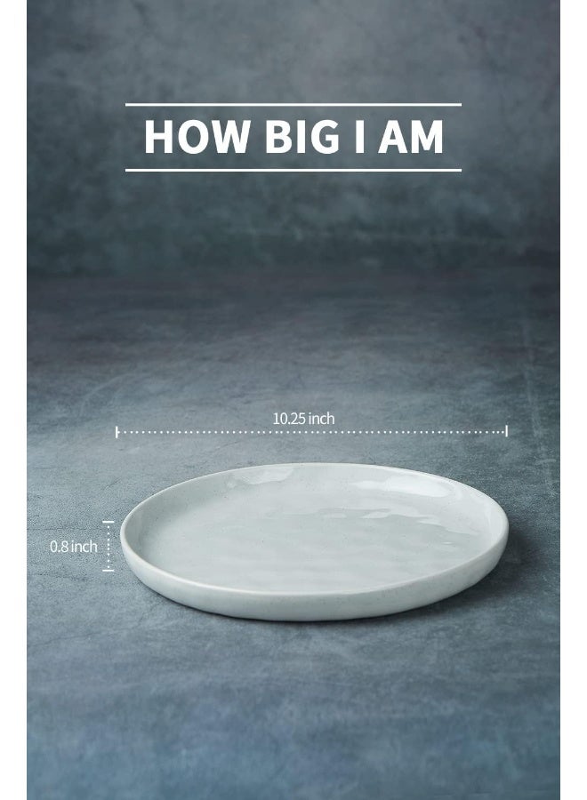 Famiware أطباق عشاء مارز 6 قطع من الخزف بحجم 26 سم، مقاومة للخدش، أطباق تقديم عصرية ريفية، رمادي فاتح - Image 4