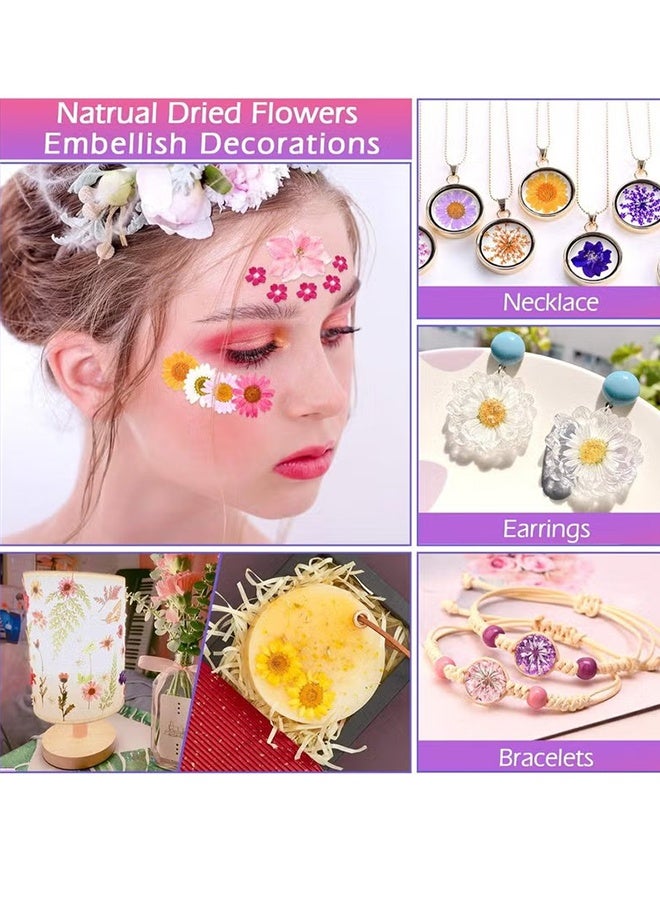 هابي دي 35 قطعة من الزهور المجففة والمضغوطة للراتنج، زهور حقيقية مضغوطة وأوراق جافة مجموعات أعشاب طبيعية للحرف اليدوية، صناعة الإكسسوارات من الراتنج، الشموع، الصابون، وتزيين الأظافر - Image 5
