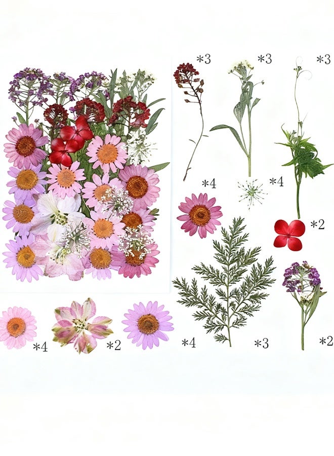 هابي دي 35 قطعة من الزهور المجففة والمضغوطة للراتنج، زهور حقيقية مضغوطة وأوراق جافة مجموعات أعشاب طبيعية للحرف اليدوية، صناعة الإكسسوارات من الراتنج، الشموع، الصابون، وتزيين الأظافر - Image 1