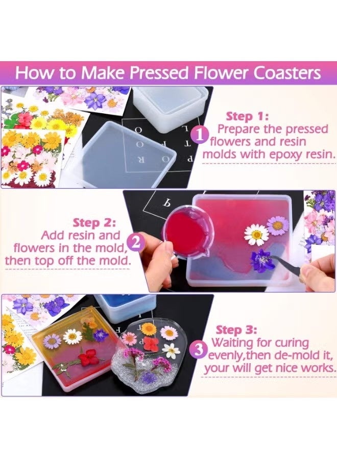 هابي دي 35 قطعة من الزهور المجففة والمضغوطة للراتنج، زهور حقيقية مضغوطة وأوراق جافة مجموعات أعشاب طبيعية للحرف اليدوية، صناعة الإكسسوارات من الراتنج، الشموع، الصابون، وتزيين الأظافر - Image 2