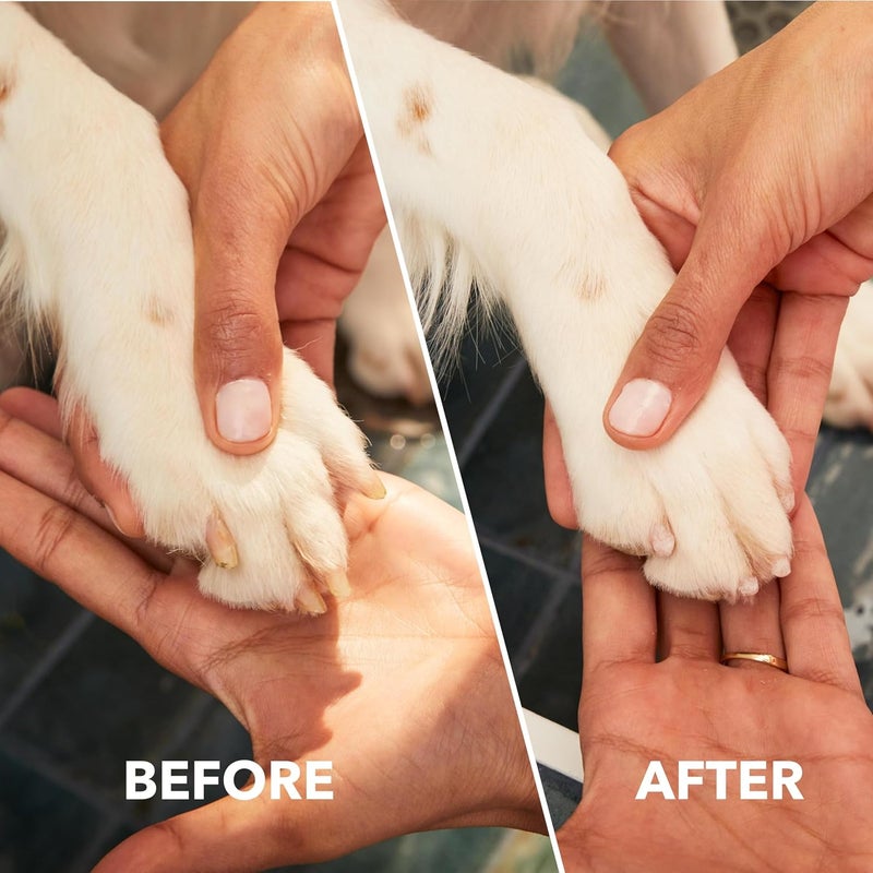 DREMEL PawControl 7760-PGK Dog Nail Grinder and Trimmer - Cordless & Rechargeable Pet Grooming Tool Kit - Safe and Humane for Dogs, Cats, and Small Animals - Image 4