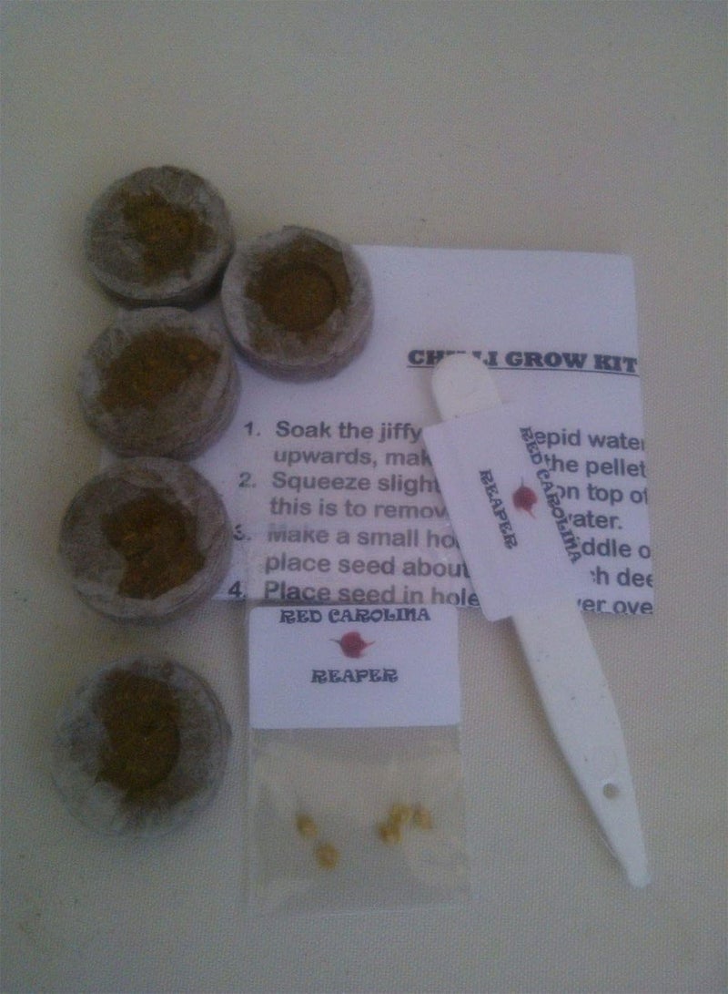 GGOOT seeds Red Carolina Reaper Chilli Seed Grow Kit Makes Nice Gift for A Chilli Head - Image 2
