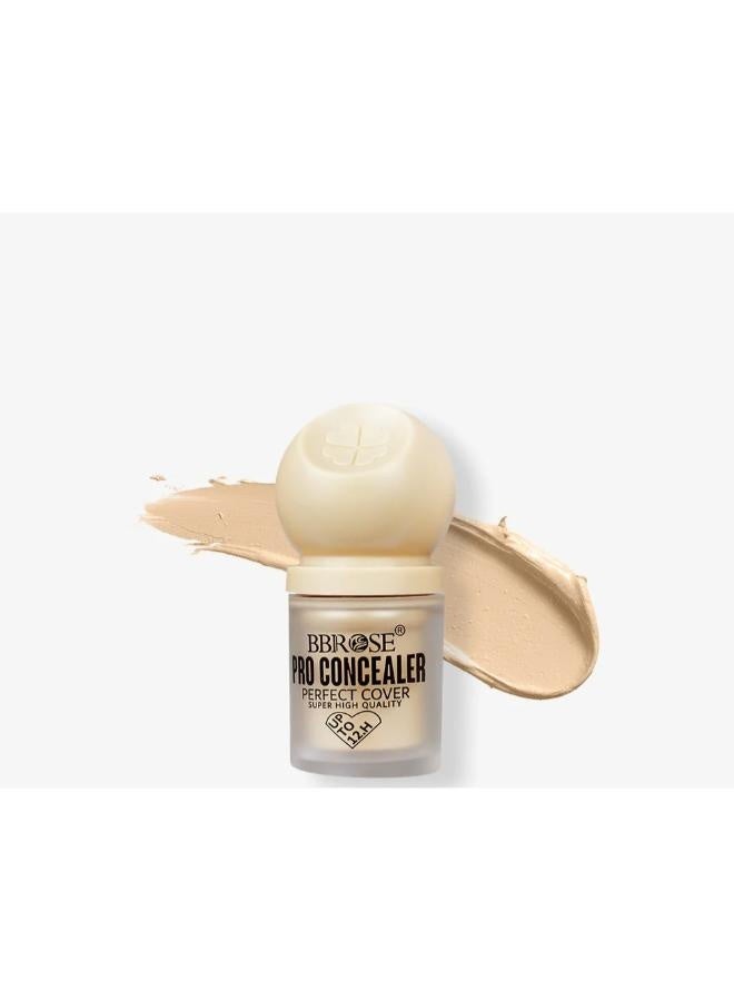 BBROSE Concealer Perfect Cover. NO.5 - Image 1
