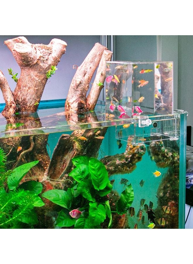 حوض سمك شفاف من الأكريليك - 12 × 13 × 19 سم - Image 1