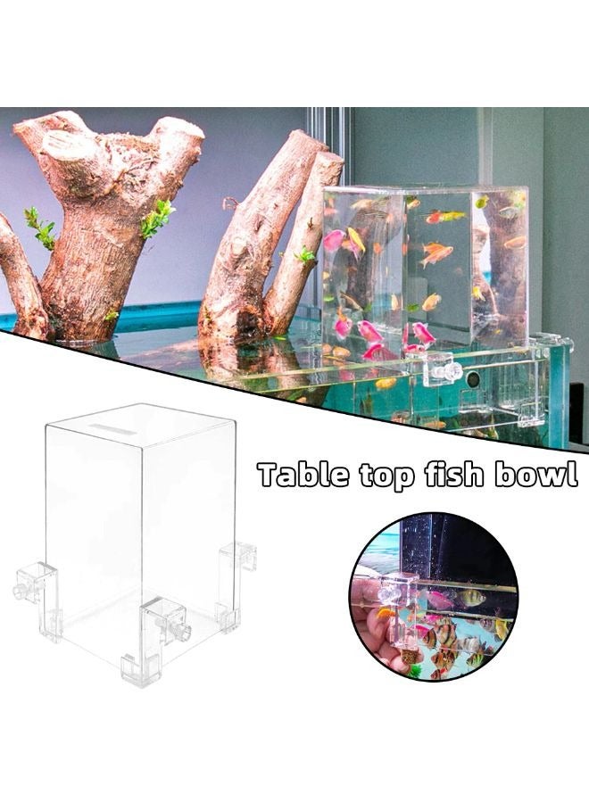 حوض سمك شفاف من الأكريليك - 12 × 13 × 19 سم - Image 4