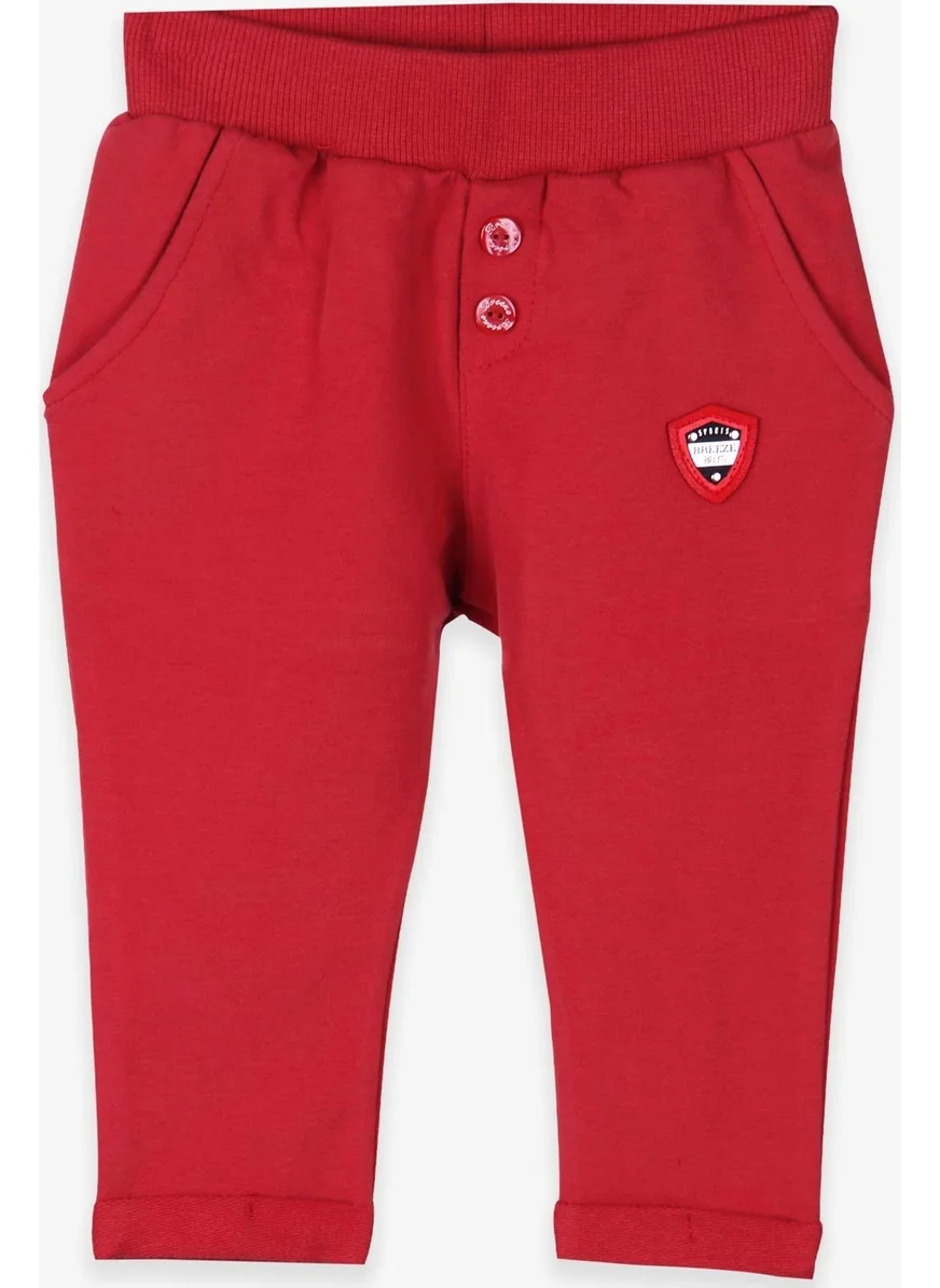 Breeze Baby Boy Sweatpants Cuffed Basic Tile (9 Months-3 Years)