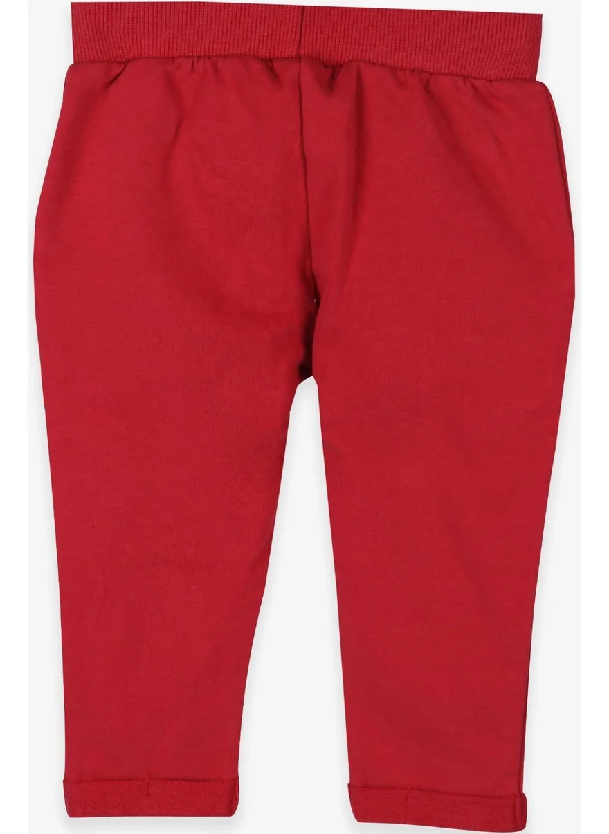 Breeze Baby Boy Sweatpants Cuffed Basic Tile (9 Months-3 Years)