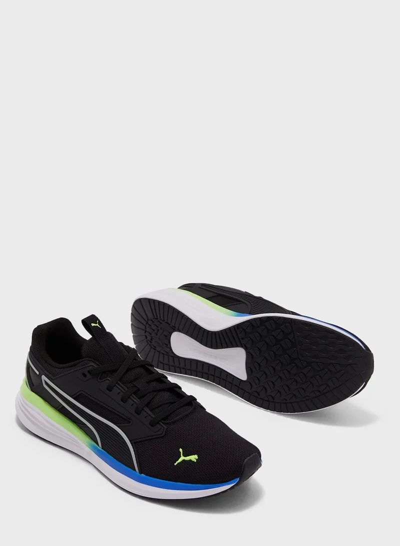 PUMA Transport Cage
