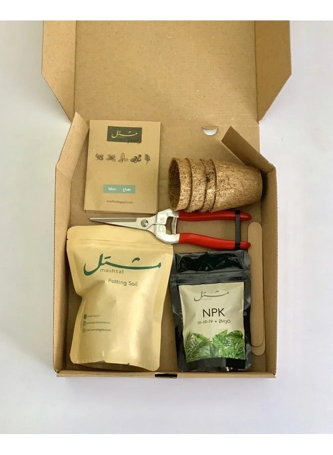 مشتل مجموعة زراعة النباتات للمبتدأين - Image 2