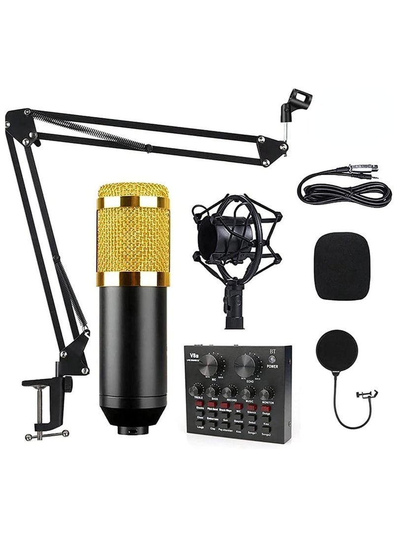 Gravity Professional BM800 Condenser Microphone Kit for PC Microphone Studio For Computer Karaoke Sound Card Recording Microphone, Auxiliary - Image 1